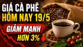 Giá cà phê hôm nay 19/5: Tây Nguyên giảm, Robusta lao dốc hơn 3%