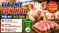 Giá thịt lợn hơi hôm nay 19/5: Miền Bắc tiếp tục neo cao