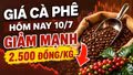 Giá cà phê hôm nay 10/7: Giảm mạnh trên diện rộng