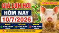Giá lợn hơi hôm nay 9/7/2026: Miền Bắc giữ đỉnh 66.000 đồng/kg