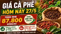 Giá cà phê hôm nay 27/5: Tây Nguyên hồi phục, Robusta thế giới tăng mạnh