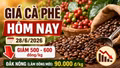 Giá cà phê hôm nay 28/6: Giảm sau khi vượt 90.000 đồng/kg