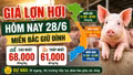 Giá lợn hơi hôm nay 28/6: Miền Bắc giữ đỉnh 68.000 đồng/kg