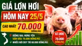 Giá lợn hơi hôm nay 25/5 biến động ra sao tại 3 miền?