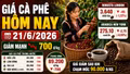 Giá cà phê hôm nay 21/6: Trong nước và thế giới cùng giảm mạnh