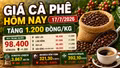 Giá cà phê hôm nay 17/7: Tăng thêm 1.200 đồng/kg