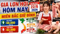 Giá lợn hơi hôm nay 22/6: Giá đi ngang, miền Bắc neo cao