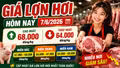 Giá lợn hơi hôm nay 7/6: Chênh lệch tới 4.000 đồng/kg giữa các vùng
