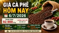 Giá cà phê hôm nay 6/7: Tây Nguyên đi ngang, chờ thay đổi tuần mới