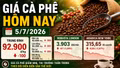 Giá cà phê hôm nay 5/7: Giảm nhẹ, Robusta London đỏ sàn