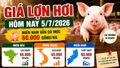 Giá lợn hơi hôm nay 5/7: Miền Bắc giữ vùng cao 66.000 đồng/kg