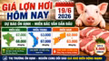 Giá lợn hơi hôm nay 19/6: Bắc Ninh, Hà Nội, Hải Phòng vẫn dẫn đầu