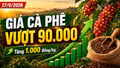 Giá cà phê hôm nay 27/6: Tăng mạnh, vượt mốc 90.000 đồng/kg