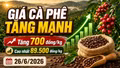 Giá cà phê hôm nay 26/6: Tăng mạnh, tiến sát mốc 90.000 đồng/kg