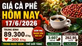 Giá cà phê hôm nay17/6: Robusta và Arabica tăng, Tây Nguyên giảm