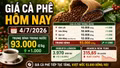 Giá cà phê hôm nay 4/7: Arabica giảm, trong nước vẫn tiếp tục tăng