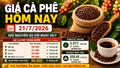 Giá cà phê hôm nay 21/7: Đi ngang ở 98.000 đồng/kg