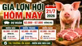 Giá lợn hơi hôm nay 21/7: Miền Nam có nơi tăng nhẹ