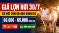 Giá lợn hơi hôm nay 30/7: Có nơi còn 60.000 đồng/kg