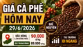 Giá cà phê hôm nay 29/6: Giữ nguyên, cao nhất 90.000 đồng/kg