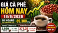Giá cà phê hôm nay 18/6/2026: Trong nước đi ngang, Arabica tăng hơn 5%