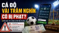 Cá độ World Cup vài trăm nghìn đồng có bị xử phạt?