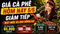 Giá cà phê hôm nay 6/6: Arabica lao dốc hơn 2%, thị trường chịu áp lực