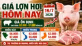 Giá lợn hơi hôm nay 19/7: Chênh lệch ba miền ở mức cao