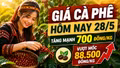 Giá cà phê hôm nay 28/5 tăng mạnh, vượt 88.500 đồng/kg