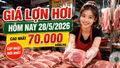 Giá lợn hơi hôm nay 28/5: Nhiều địa phương lùi về 67.000–68.000 đồng/kg