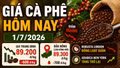 Giá cà phê hôm nay 1/7: Trong nước giảm, Robusta đỏ sàn