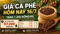 Giá cà phê hôm nay 16/7: Robusta tăng, Arabica giảm