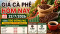 Giá cà phê hôm nay 22/7: Trong nước và thế giới cùng tăng