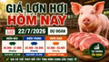 Giá lợn hơi hôm nay 22/7: Bắc Ninh, Lâm Đồng và Đồng Nai hạ giá