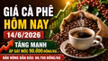 Giá cà phê hôm nay 14/6: Tây Nguyên áp sát mốc 90.000 đồng/kg