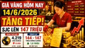 Giá vàng hôm nay 14/6: Vàng SJC, BTMC, PNJ, DOJI tiếp tục biến động?