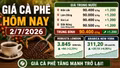 Giá cà phê hôm nay 2/7 tăng mạnh, Robusta và Arabica cùng bứt phá