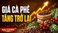 Giá cà phê hôm nay 11/8: Tây Nguyên tăng tới 300 đồng/kg