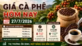 Giá cà phê hôm nay 27/7: Giá nội địa ổn định, sàn thế giới phân hóa