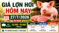 Giá lợn hơi hôm nay 27/7: Miền Bắc cao nhất 65.000 đồng/kg