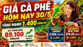 Giá cà phê hôm nay 30/5 tăng vọt, vượt mốc 89.000 đồng/kg