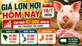 Giá lợn hơi hôm nay 18/7: Thị trường cả nước tạm chững