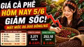 Giá cà phê hôm nay 5/6: Robusta và Arabica cùng giảm sâu