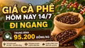 Giá cà phê hôm nay 14/7 chưa biến động sau nhịp giảm mạnh