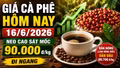 Giá cà phê hôm nay 16/6: Trong nước đi ngang, thế giới chững lại