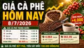 Giá cà phê hôm nay 8/7 tăng 4.000 đồng/kg, thị trường bứt phá mạnh