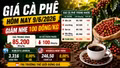 Giá cà phê hôm nay 9/6: Tây Nguyên giảm nhẹ, giữ vùng 85.000 đồng/kg