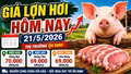 Giá lợn hơi hôm nay 21/5/2026: Miền Nam giảm nhẹ, miền Bắc đi ngang