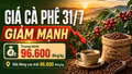 Giá cà phê hôm nay 31/7 quay đầu giảm sau phiên tăng nóng