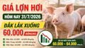 Giá lợn hơi hôm nay 31/7/2026: Miền Bắc giảm tại nhiều nơi